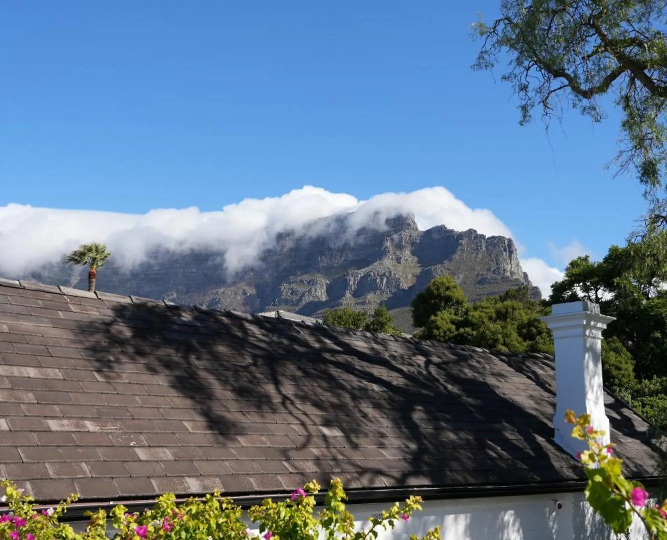 Ame By Noah Otel Cape Town Konukevi